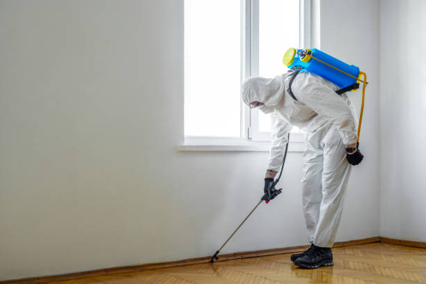 Best Commercial Pest Control  in Howard City, MI